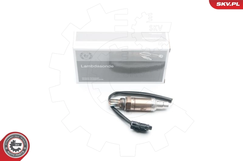 Oxygen Sensor